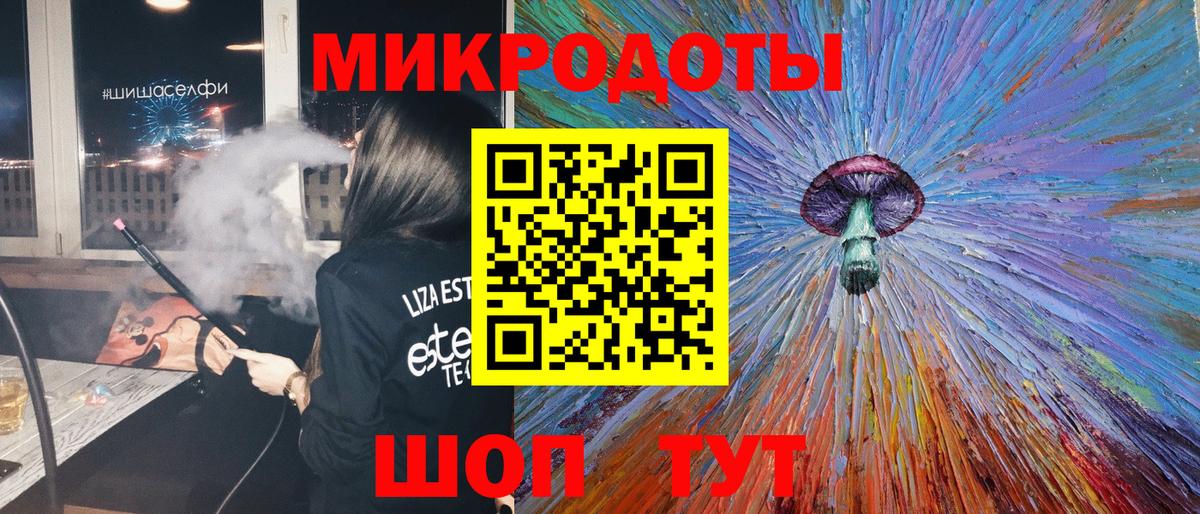 Галлюциногенные грибы Psilocybe Зеленогорск