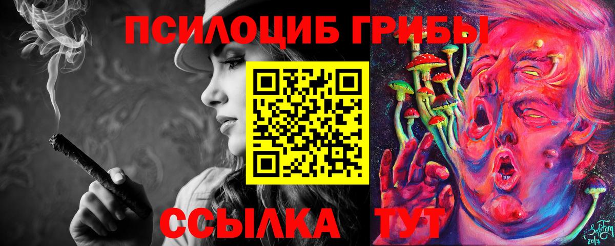 Галлюциногенные грибы Psilocybine cubensis  Вход с VPN  Галлюциногенные грибы MAGIC MUSHROOMS  Зеленогорск 