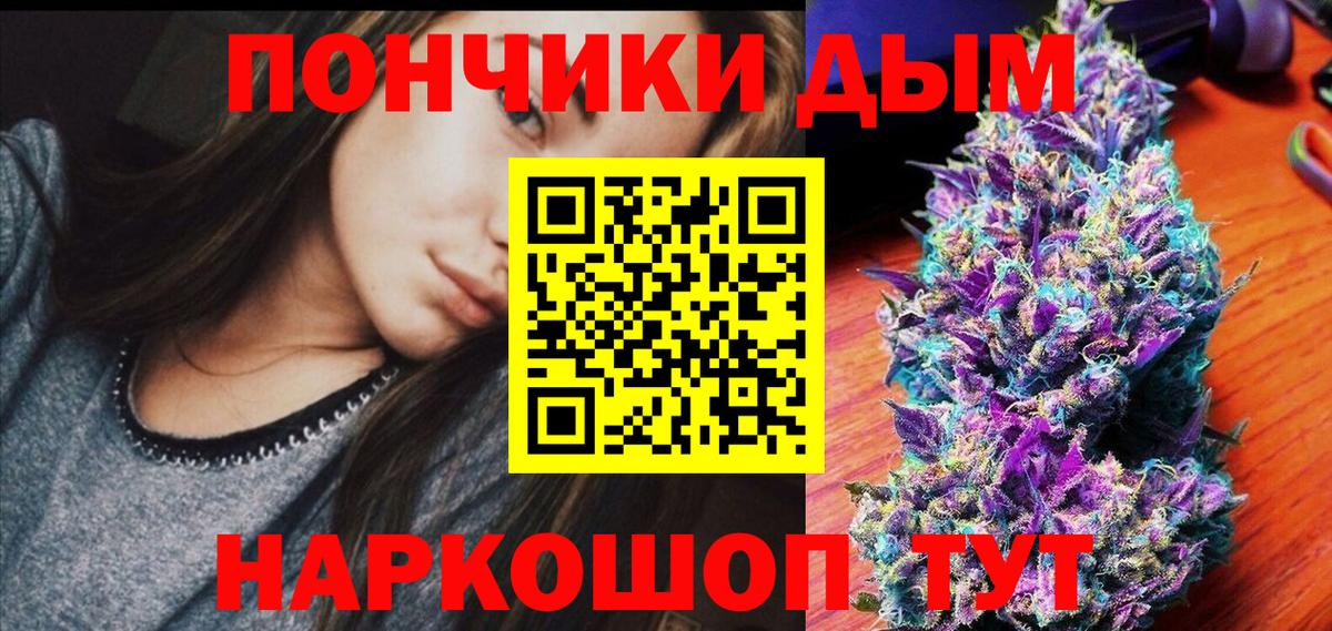 Конопля гибрид Зеленогорск